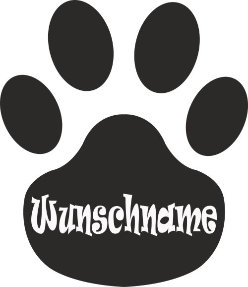 Dog Cat Step Name 500px